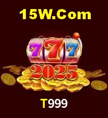 Login Seguro T999